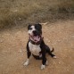 hoy toka paseo por el campo ¡k calor!